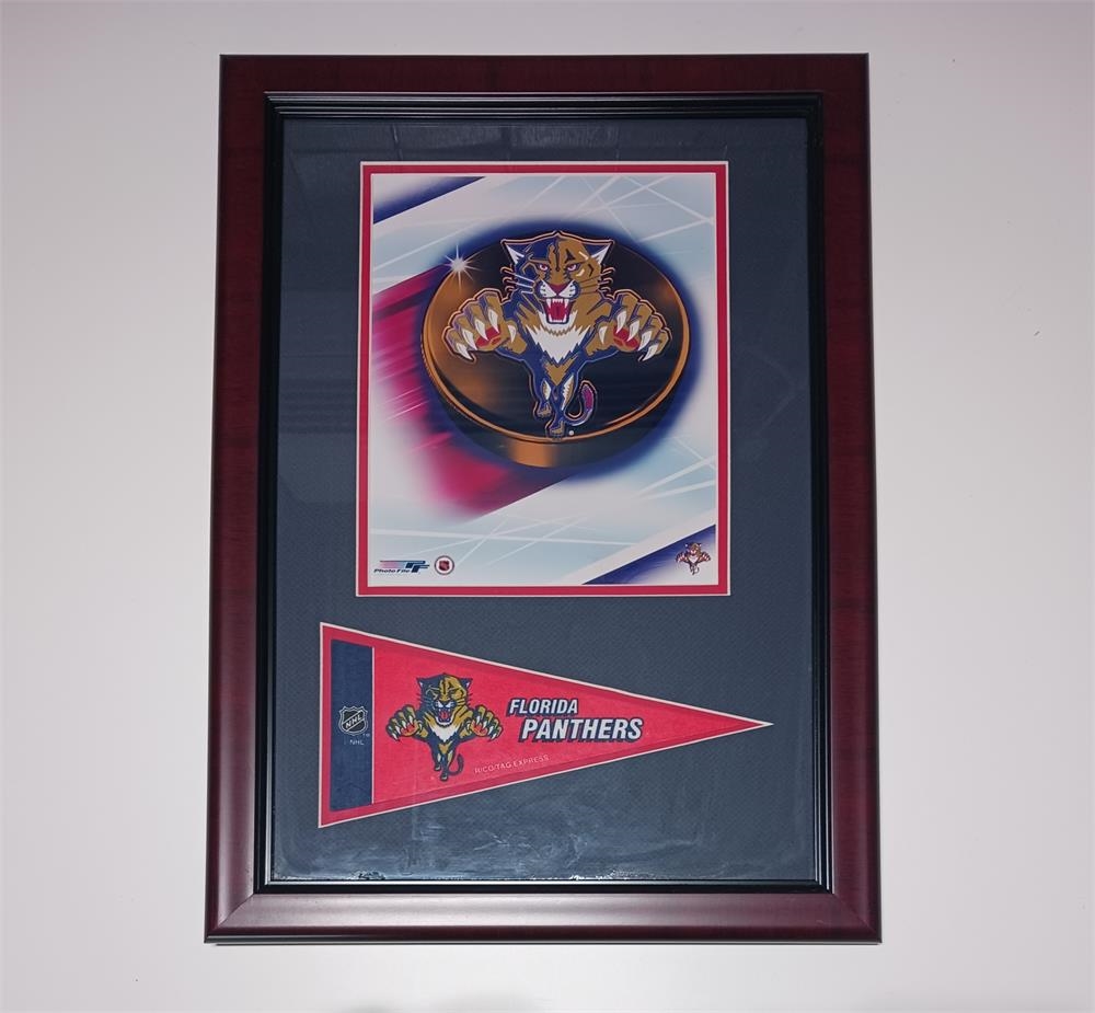 162-44 Florida - Hockey 12x18 Pennant Frame