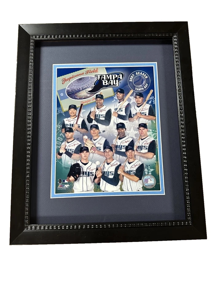 EB-256922929261-557492021026 Tampa Bay Baseball 8x10 Framed Photos - 2007 Rays