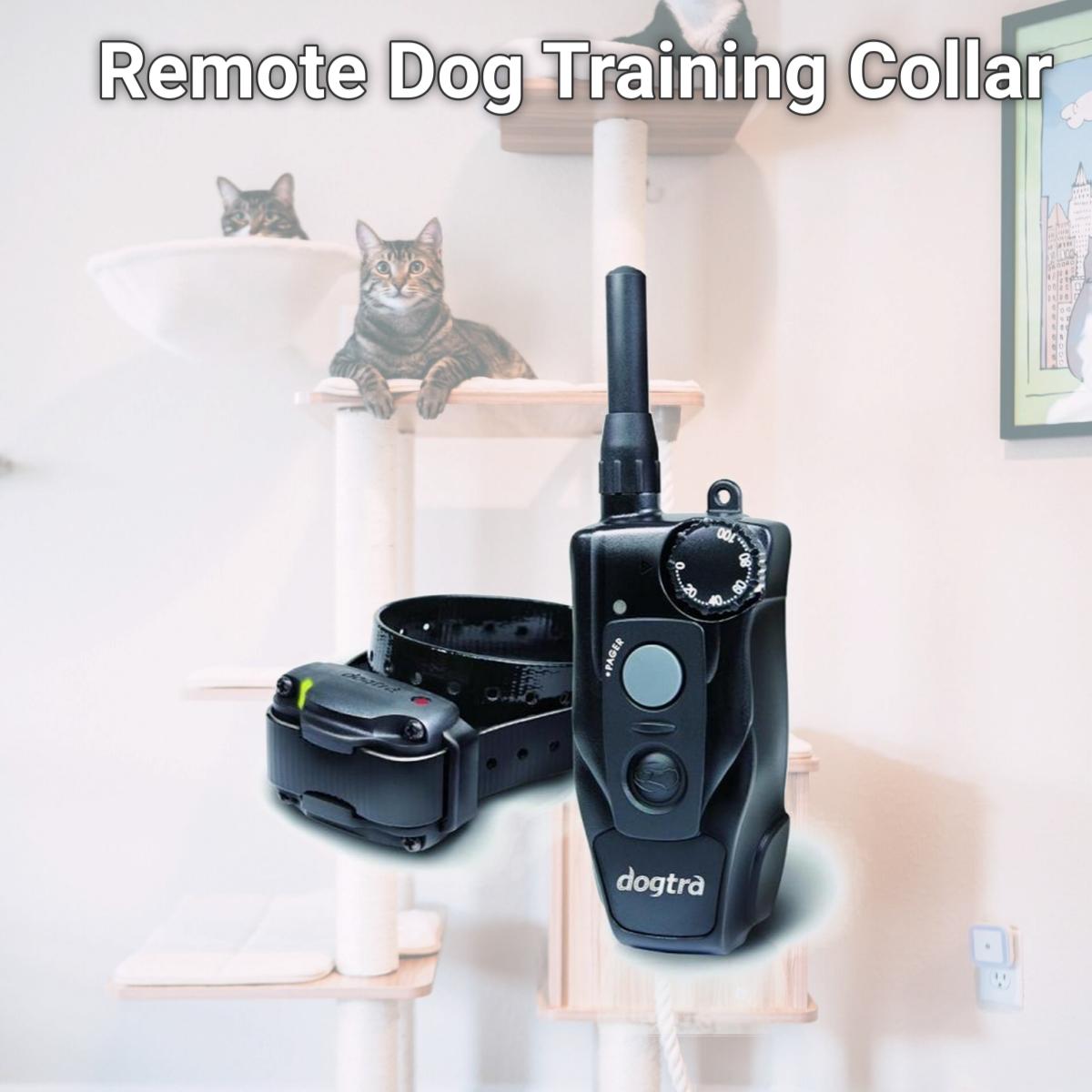 Picture of Dogtra 200C 200C Remote Dog Training Collar