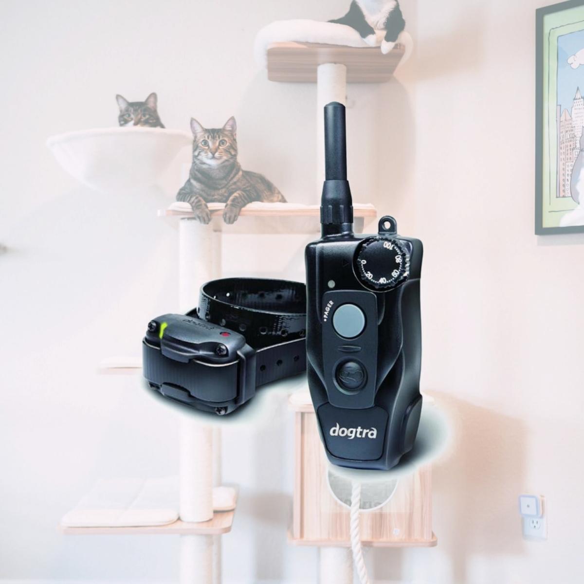 Picture of Dogtra 200C 200C Remote Dog Training Collar