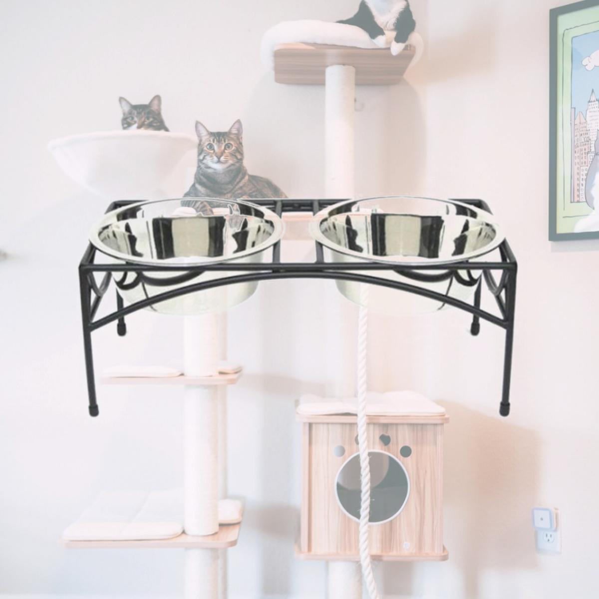 Picture of Pets Stop RDB9 Regal Double Elevated Feeder - Small