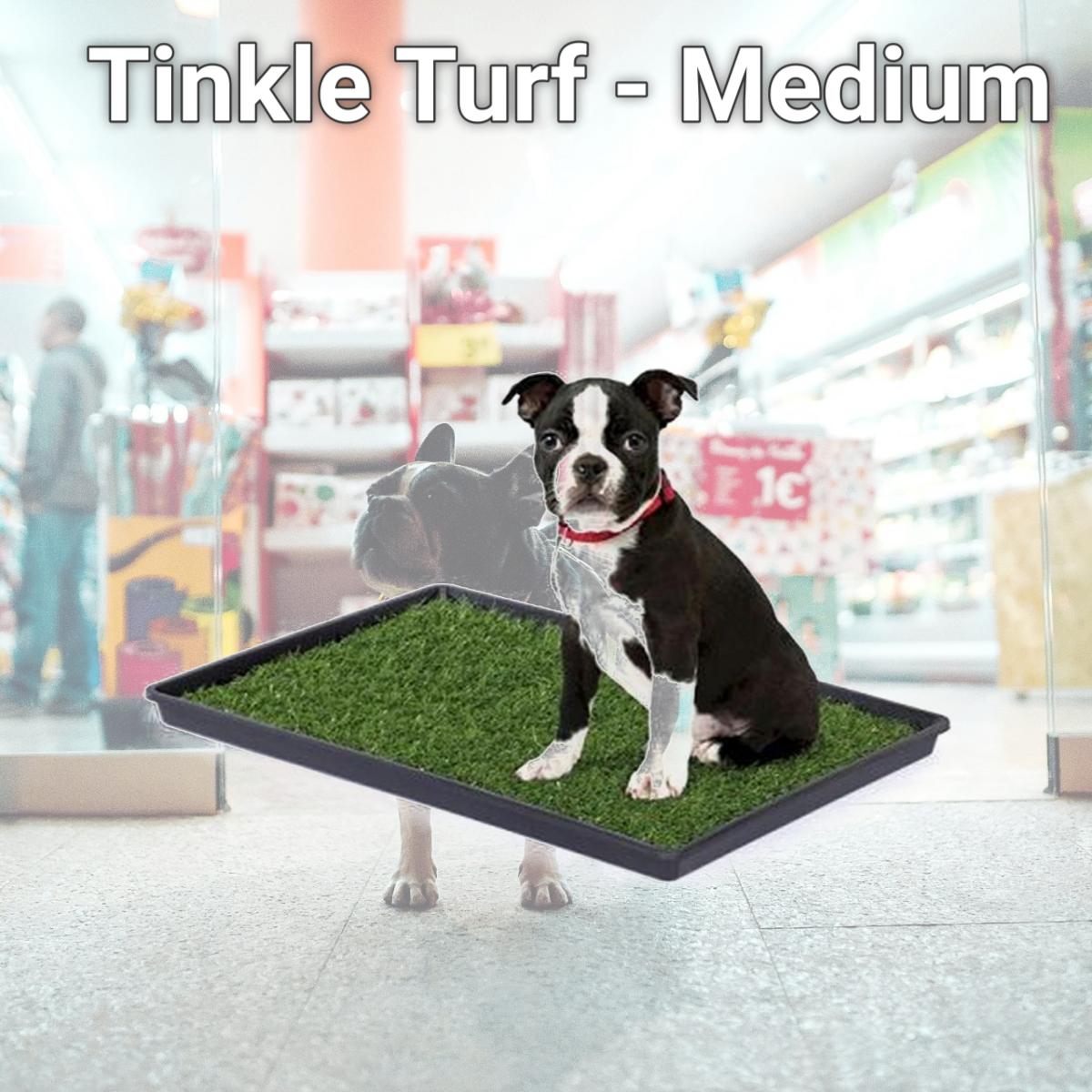Picture of Prevue Hendryx PP-501 Tinkle Turf - Medium