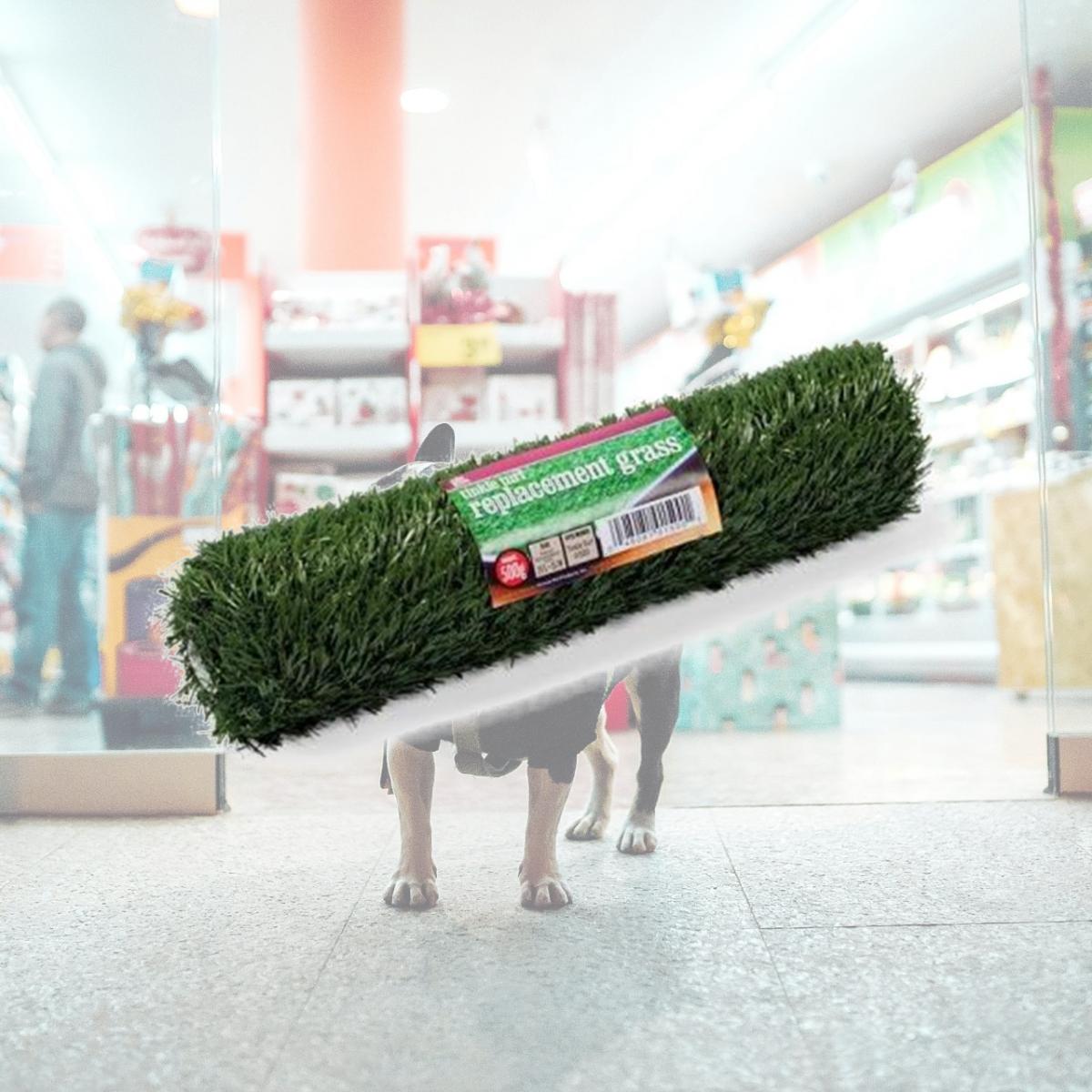 Picture of Prevue Hendryx PP-502G Tinkle Turf Replacement Turf - Large