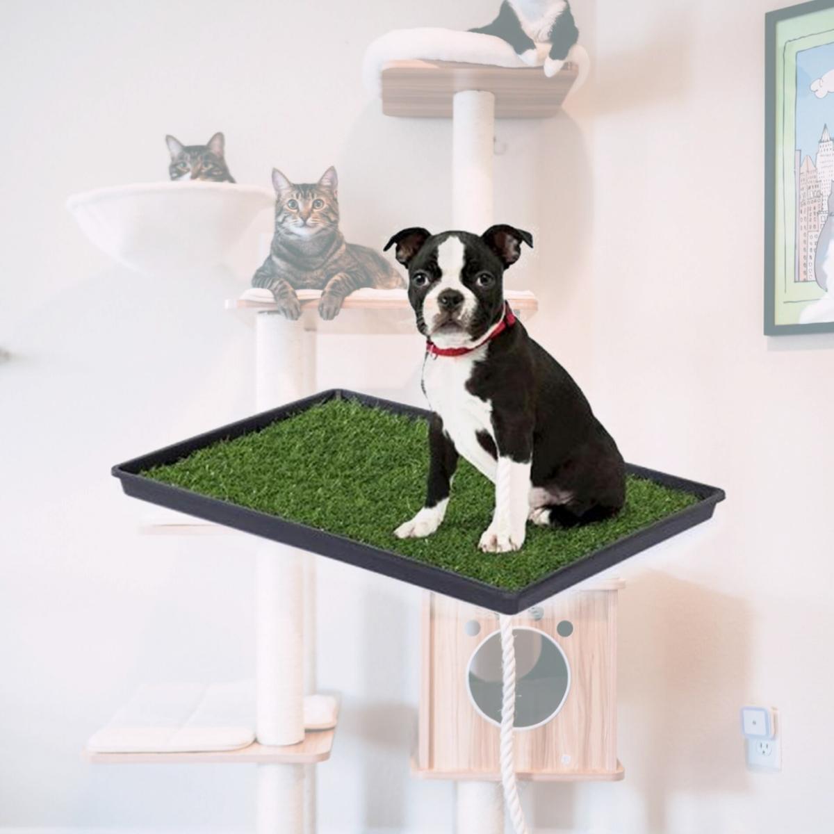 Picture of Prevue Hendryx PP-502 Tinkle Turf - Large