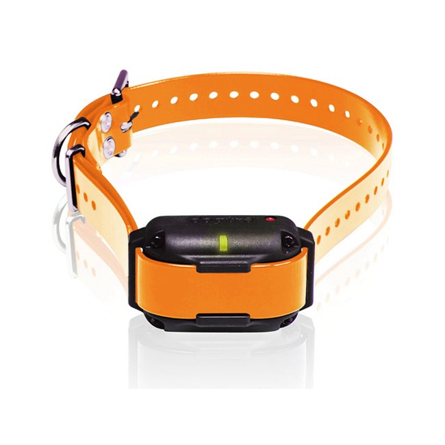 Picture of Dogtra EDGE RT ADD. RX - OR Edge RT Trainer Extra Collar - Orange