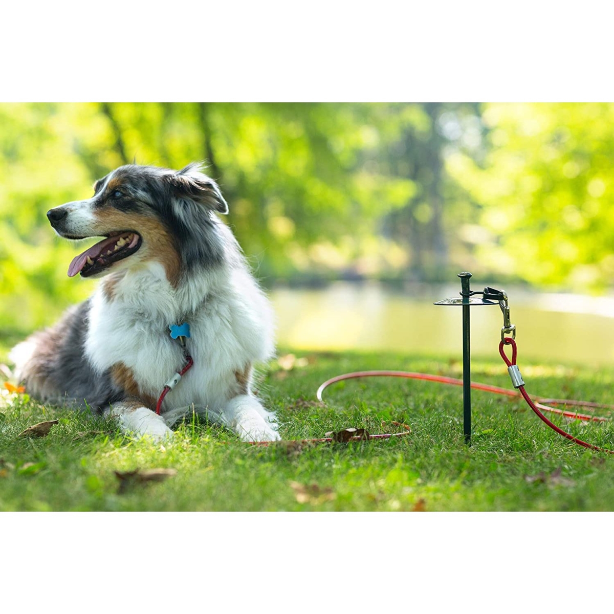 Picture of Prevue Pet Products PP-2122 20 ft. Heavy Duty Tie-Out Cable, Red
