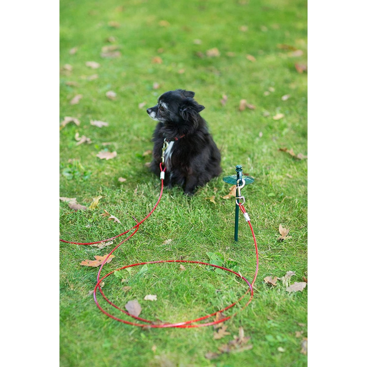 Picture of Prevue Pet Products PP-2123 24 in. Tie-Out Dome Stake with 12 ft. Cable