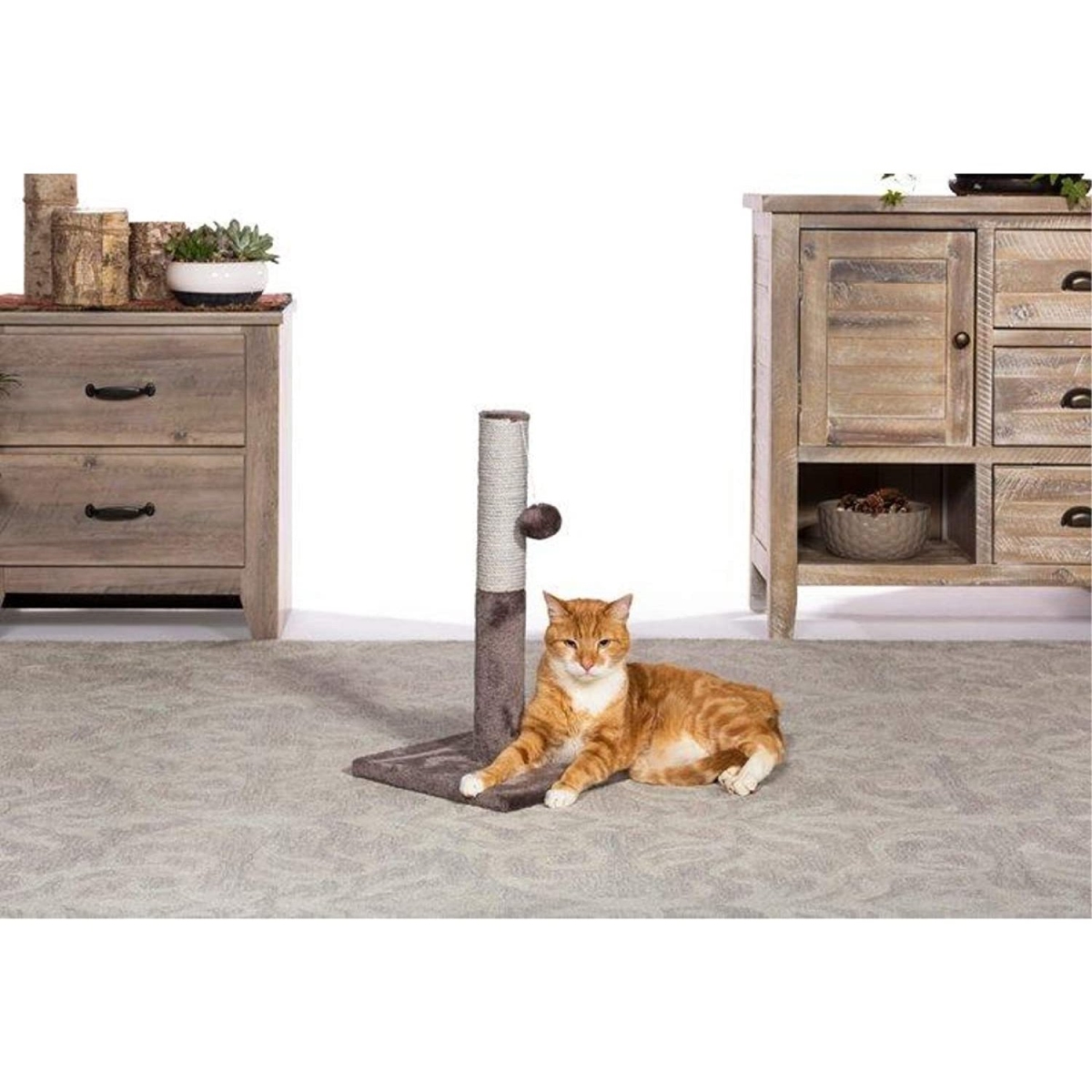 Picture of Prevue Pet Products PP-7151 Kitty Power Paws Play & Scratch