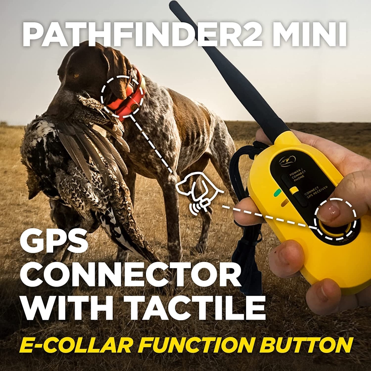Picture of Dogtra PATHFINDER2 MINI Pathfinder2 Mini Gps Dog Tracking & Dog Training System - Yellow & Black