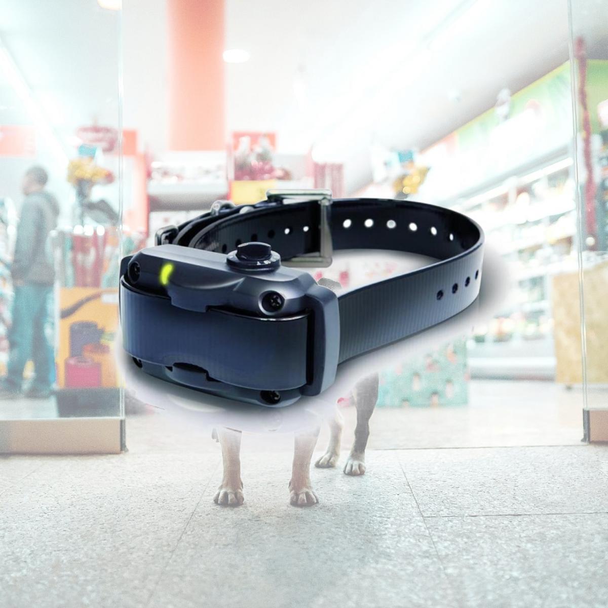 Picture of Dogtra YS600 Dogtra YS600 Bark Control Collar