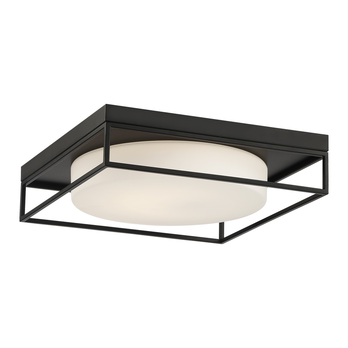 Picture of Eurofase 39333-032 Rover 15 in. Matte Black White Glass Flush Mount Ceiling Light