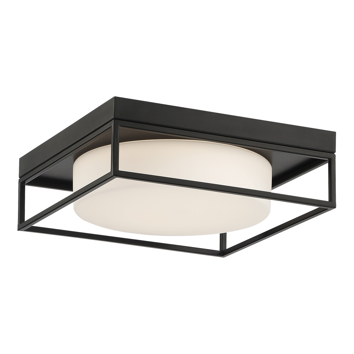 Picture of Eurofase 39332-035 Rover 12 in. Matte Black White Glass Flush Mount Ceiling Light