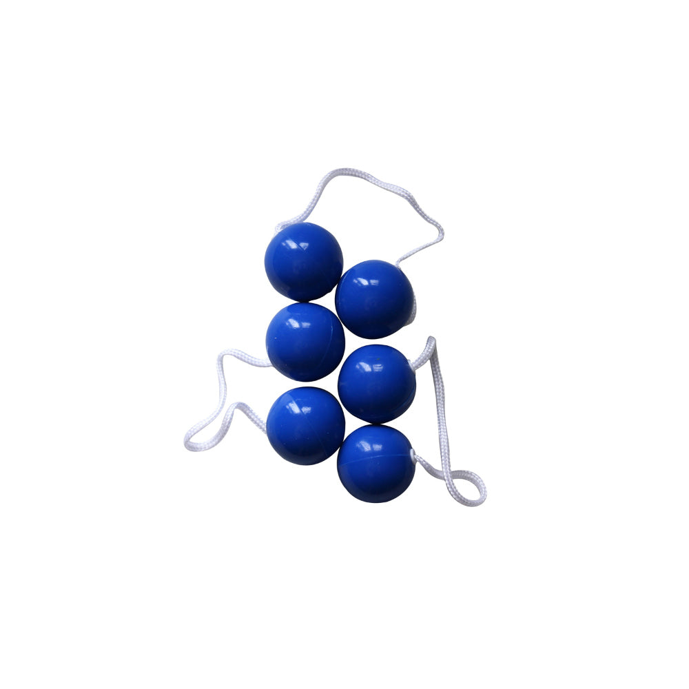 Picture of Bolaball 317542 High Quality Sports Balls&#44; Blue
