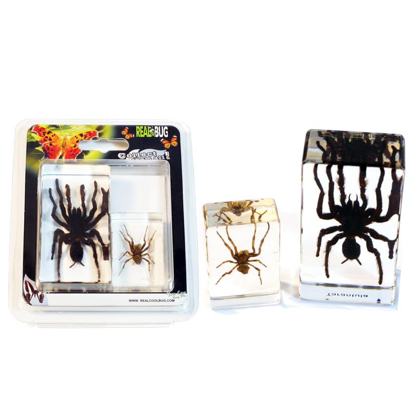 Tarantula & Spider Paperweight Collection - 2 Piece