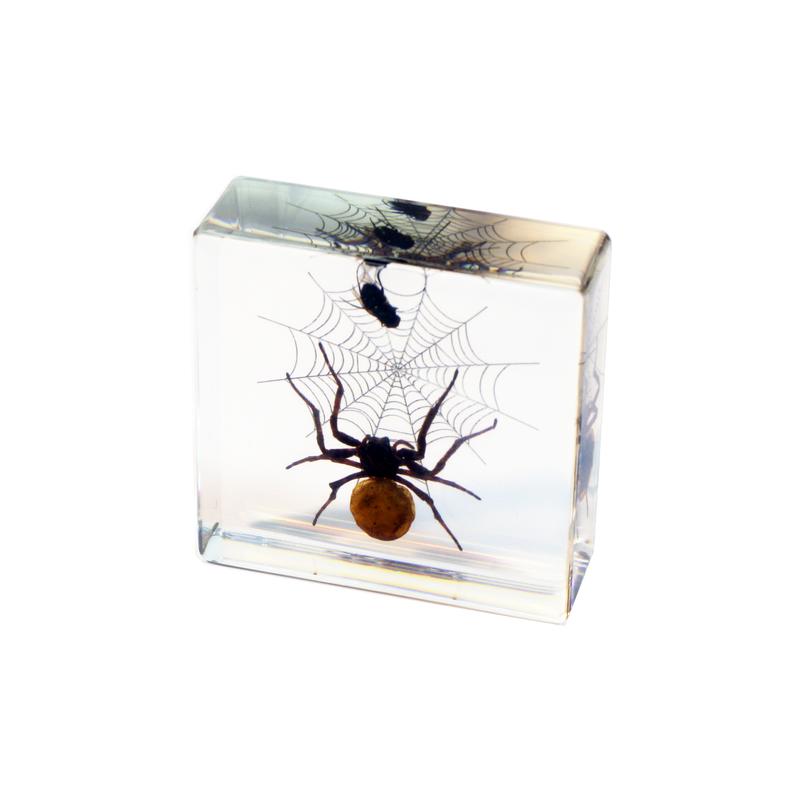 Picture of ED Speldy East DD45 Real Desk Decoration&#44; Spider & Fly