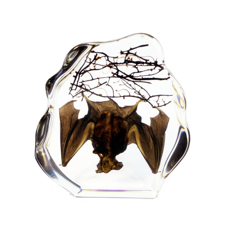DS1119 Real Desk Decoration, Hanging Bat