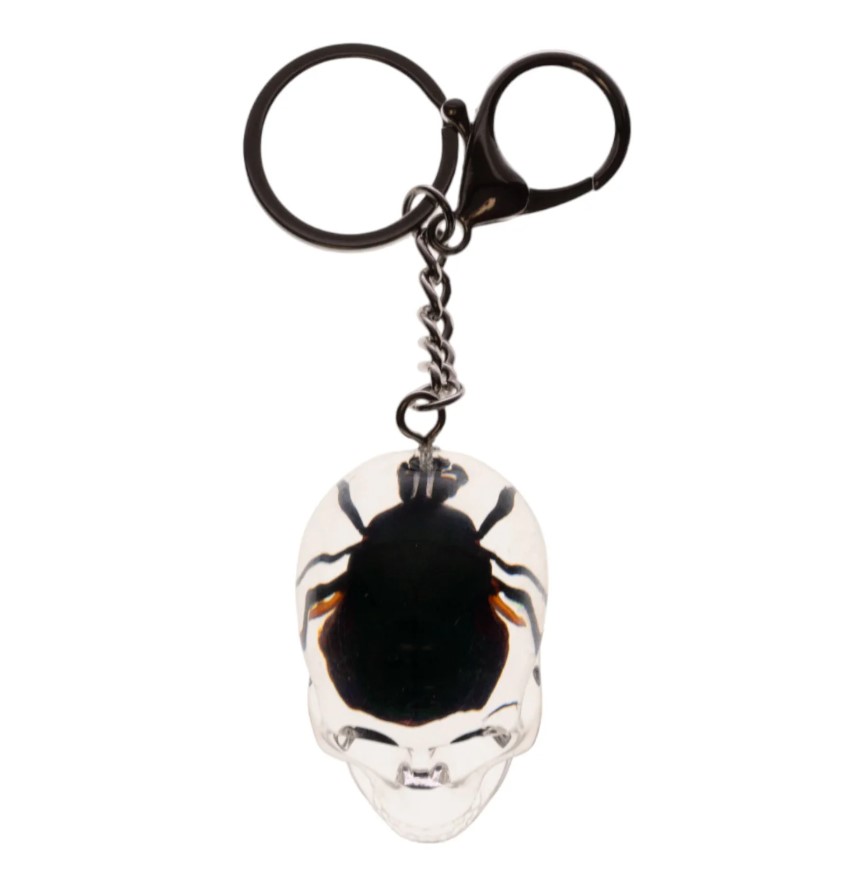SKB2001 2 in. Chafer Beetle Skull Key Chain, Clear