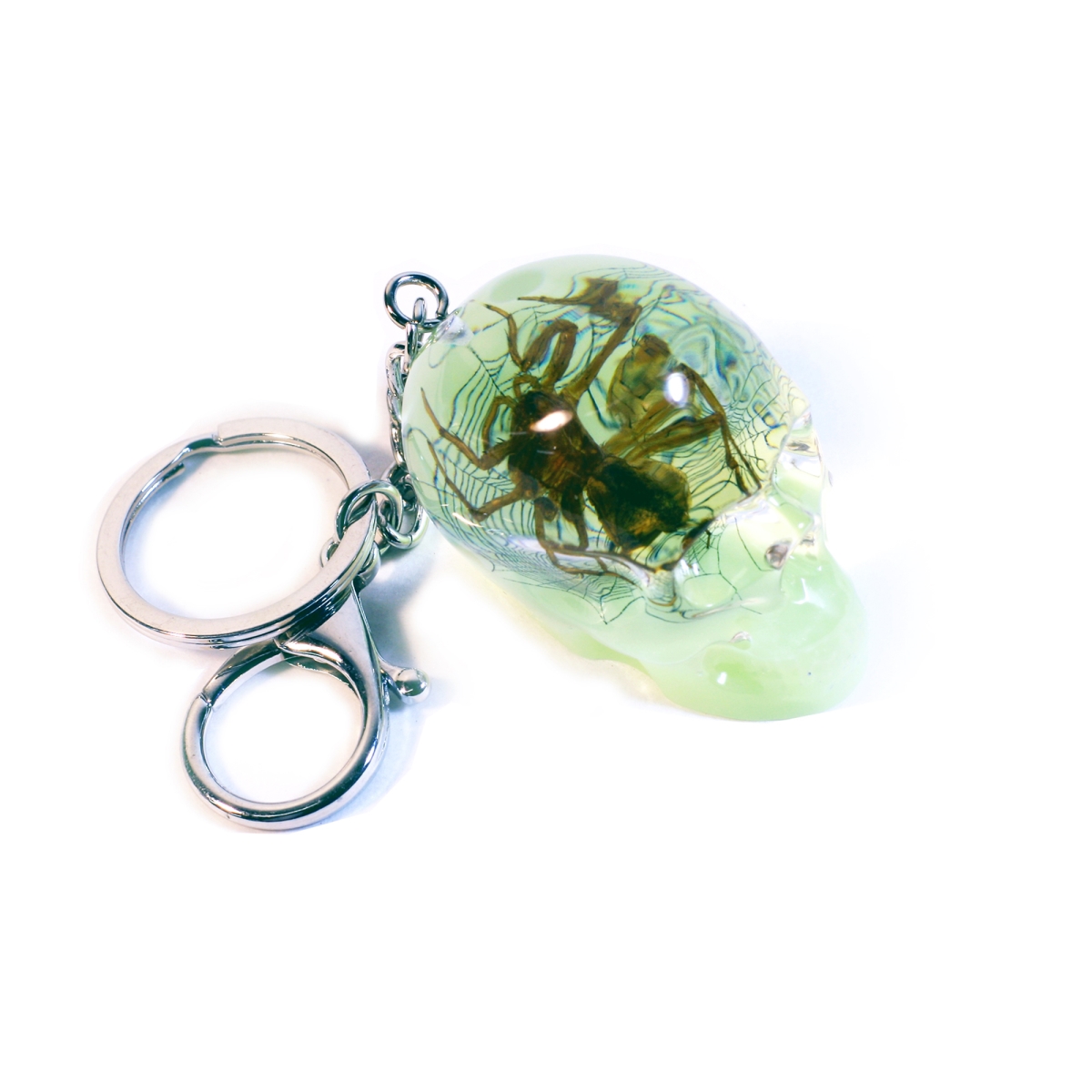 SKB2002 2 in. Glow in Dark Spider Skull Key Chain