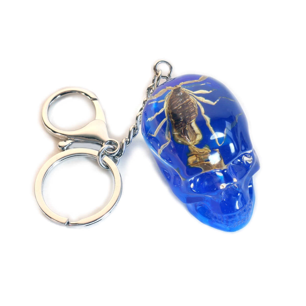 SKB2003 2 in. Golden Scorpion Skull Key Chain, Blue