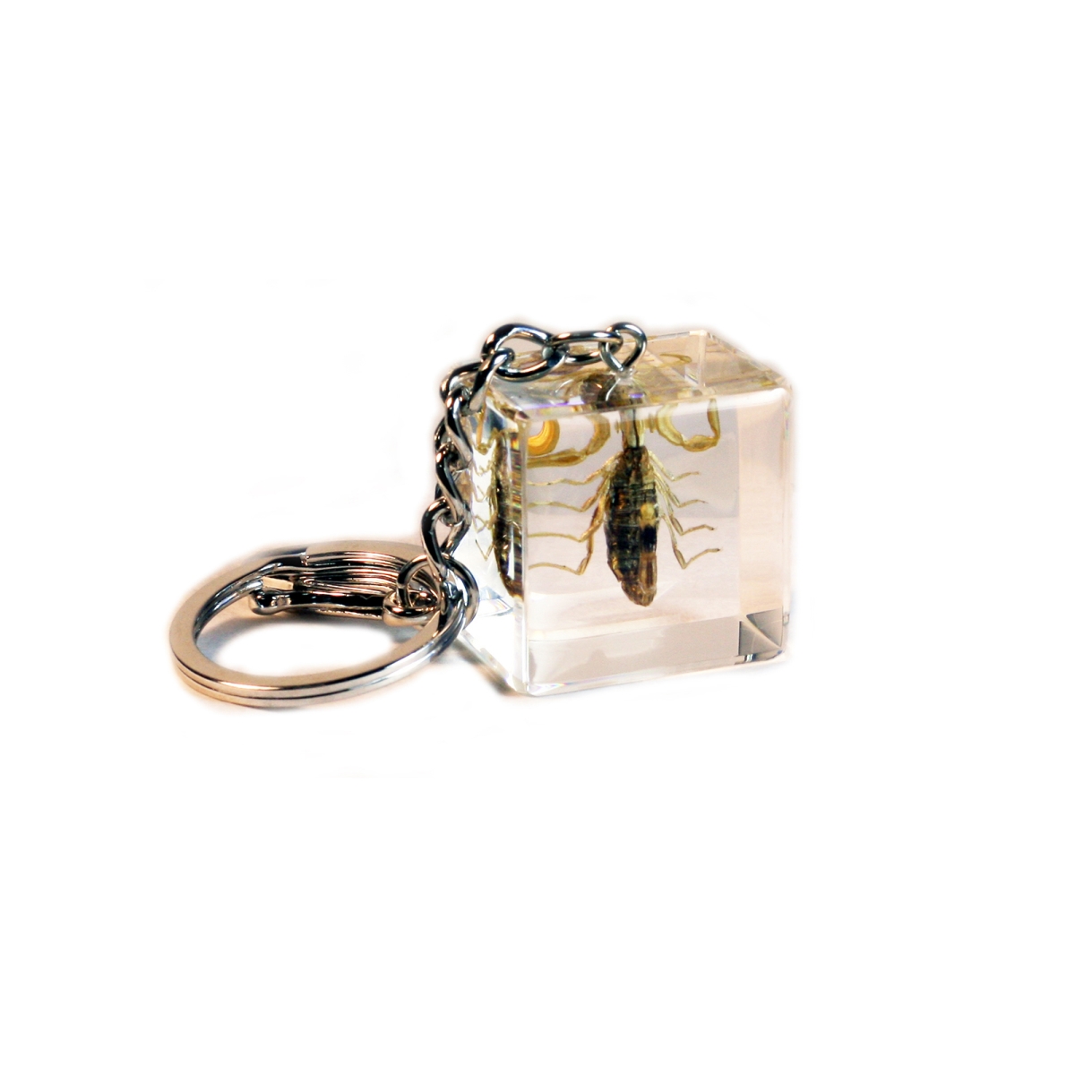 BC301 Golden Scorpion Cube Key Chain, Clear