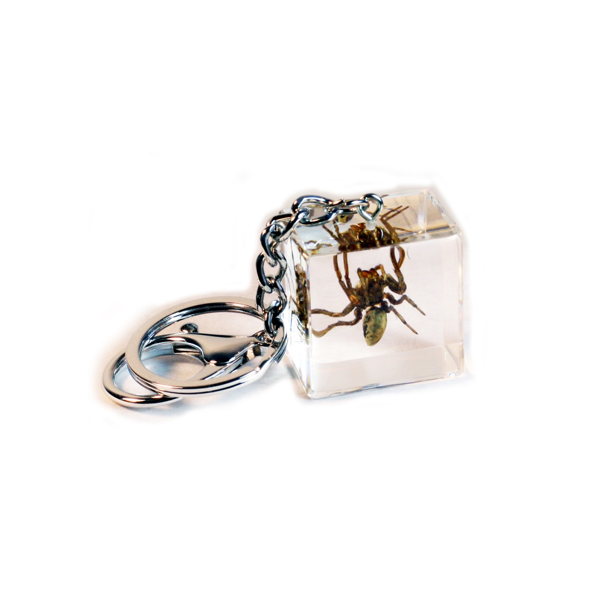 BC302 Spider Cube Key Chain, Clear
