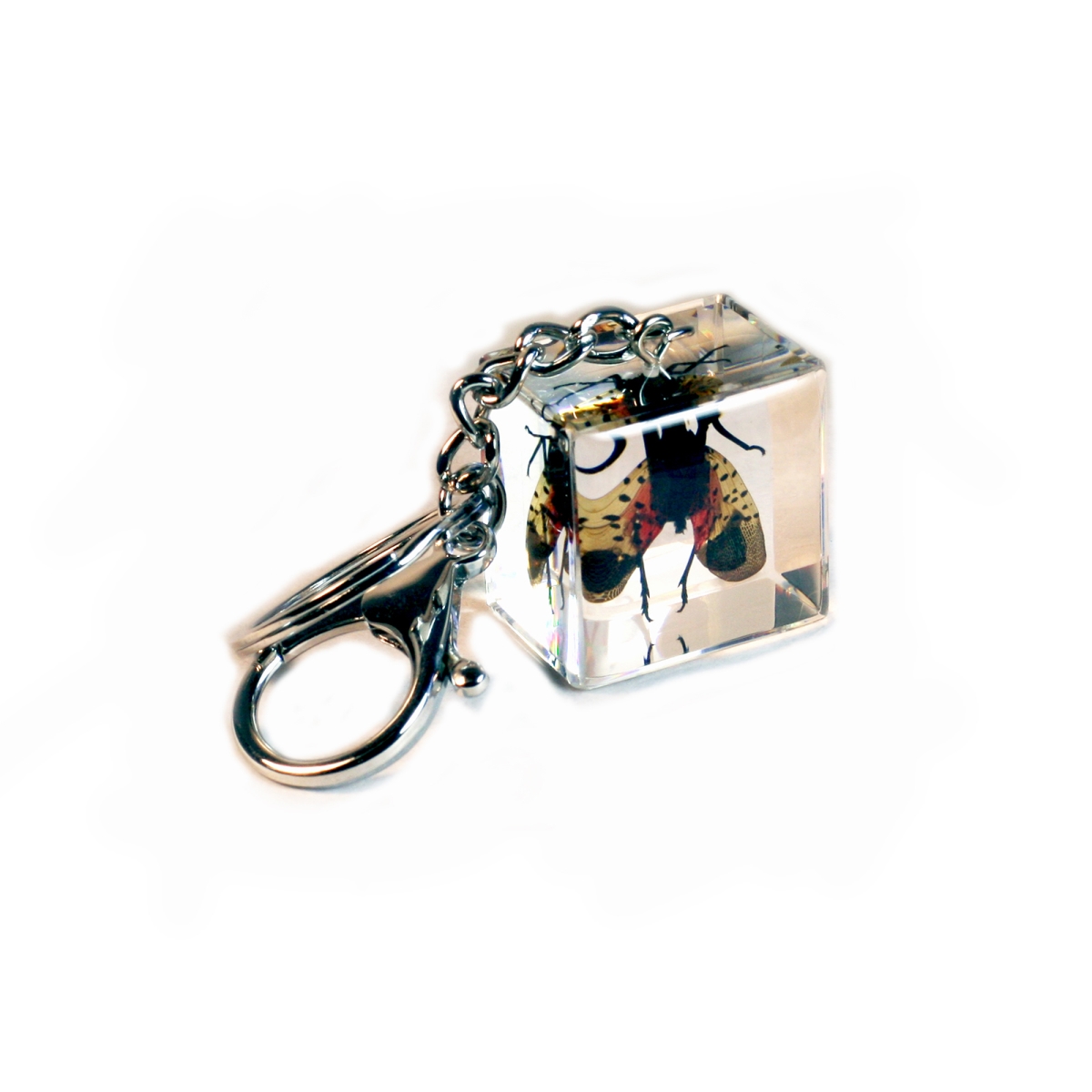 BC304 Lantern Fly Cube Key Chain, Clear