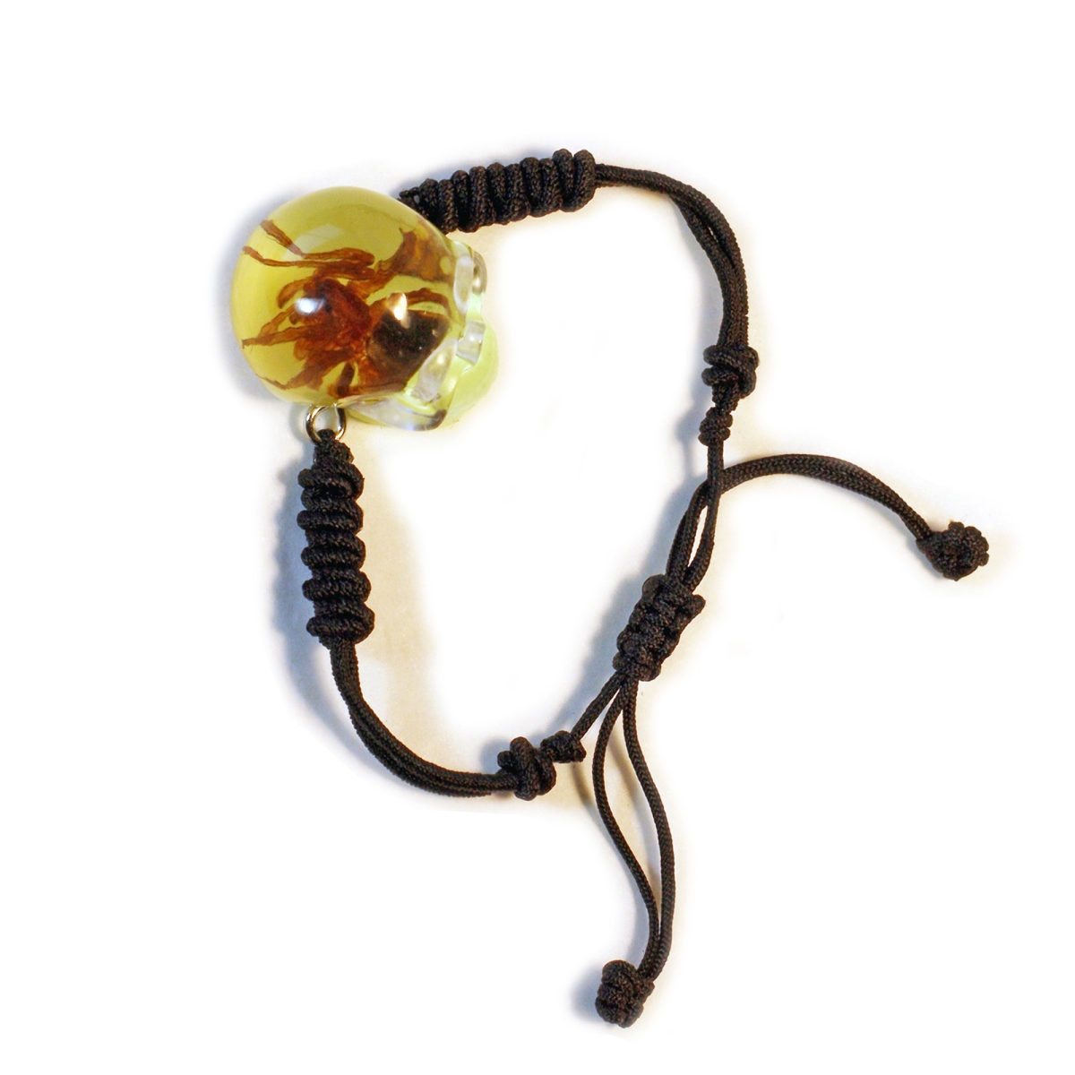 BL111 1 in. Glow in the Dark Chafer Beetle Skull Bracelet