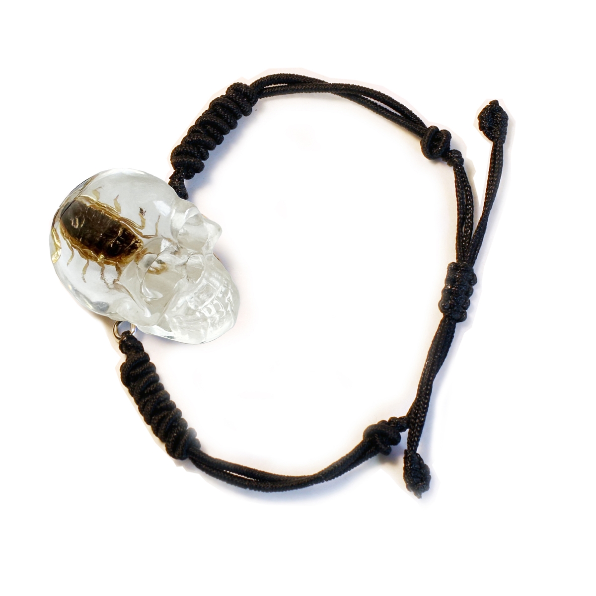 BL113 1 in. Golden Scorpion Skull Bracelet, Clear