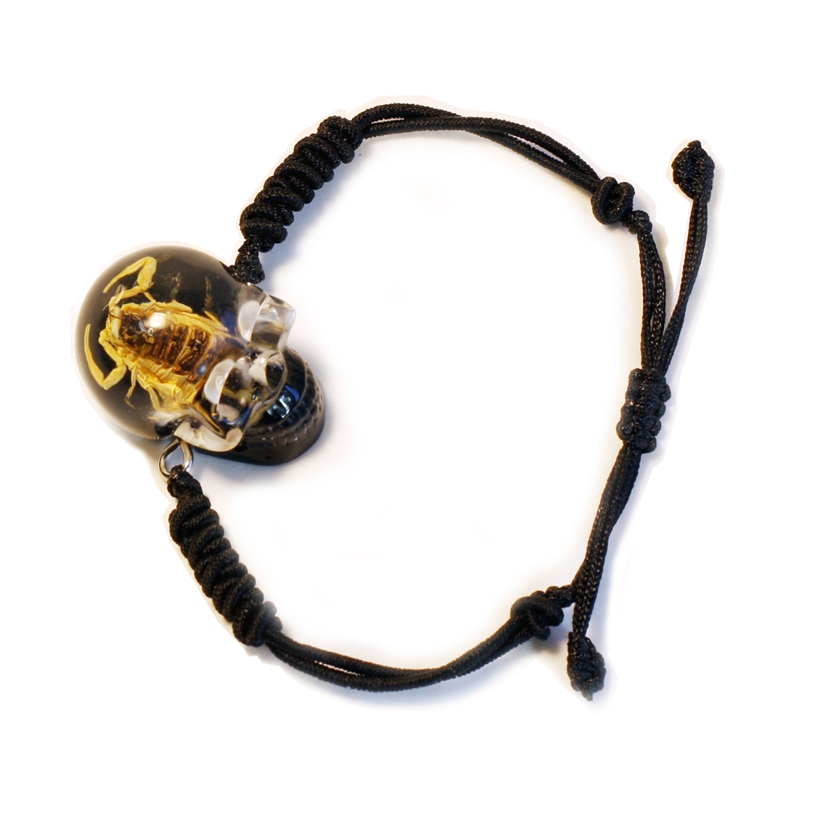 BL115 1 in. Golden Scorpion Skull Bracelet, Black