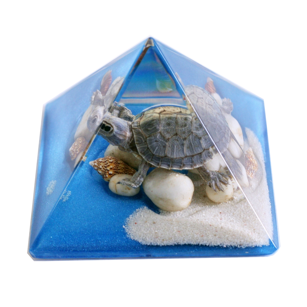 DS908 3 in. Turtle Pyramid, Blue