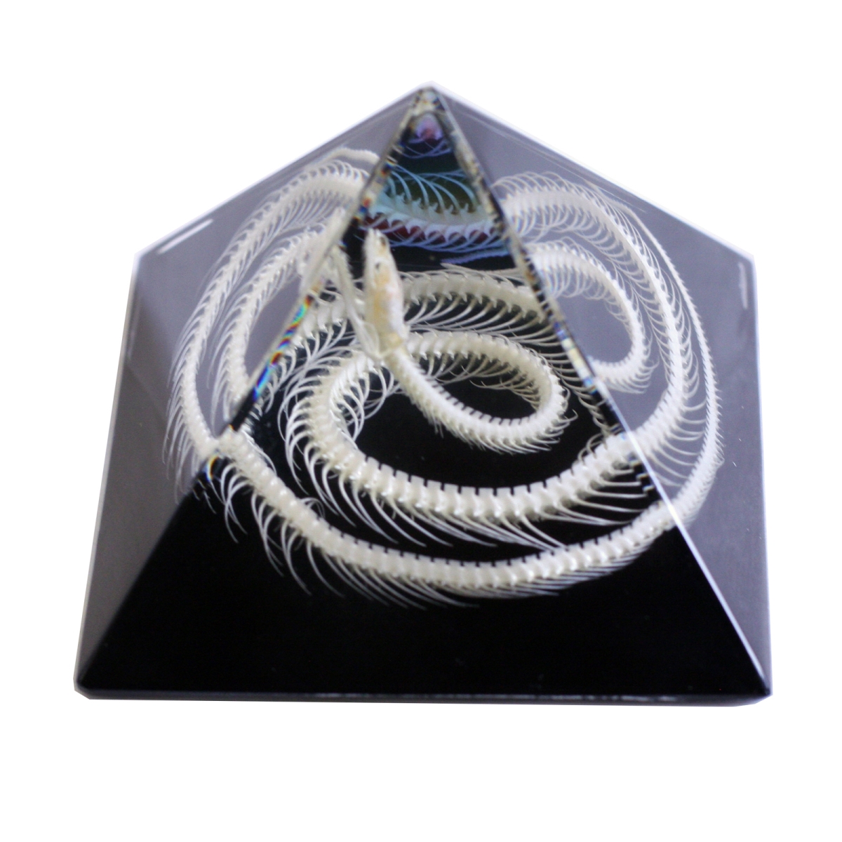 DS909 3 in. Snake Skeleton Pyramid, Black