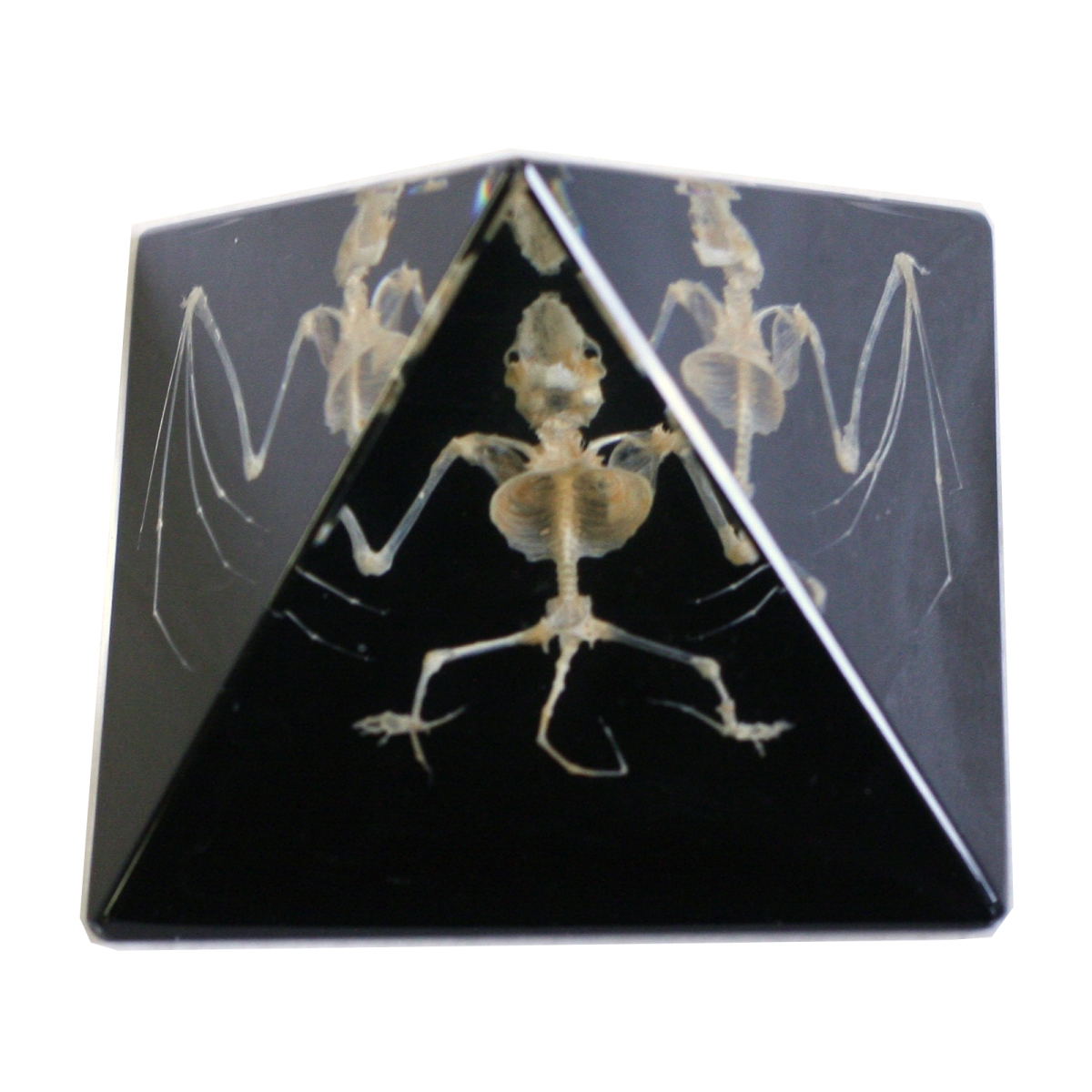 DS910 3 in. Bat Skeleton Pyramid, Black