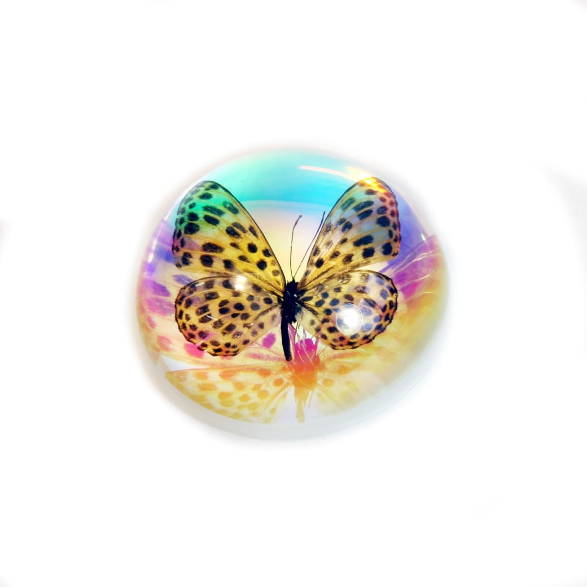SS388 2.5 in. Spotted Leopard Butterfly Terrain, Clear