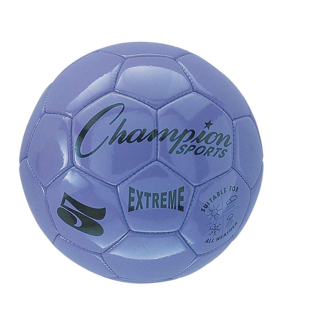Picture of Champion Sports CHSEX4PR 4 Size Extreme Series Soccer Ball - Purple