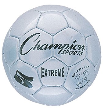 Picture of Champion Sports CHSEX3SL 3 Size Extreme Series Soccer Ball - Silver