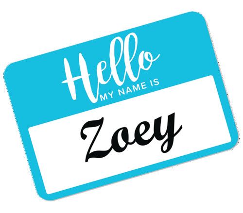 Picture of Avery Products AVE08722 Flexible Adhesive Name Badge Labels