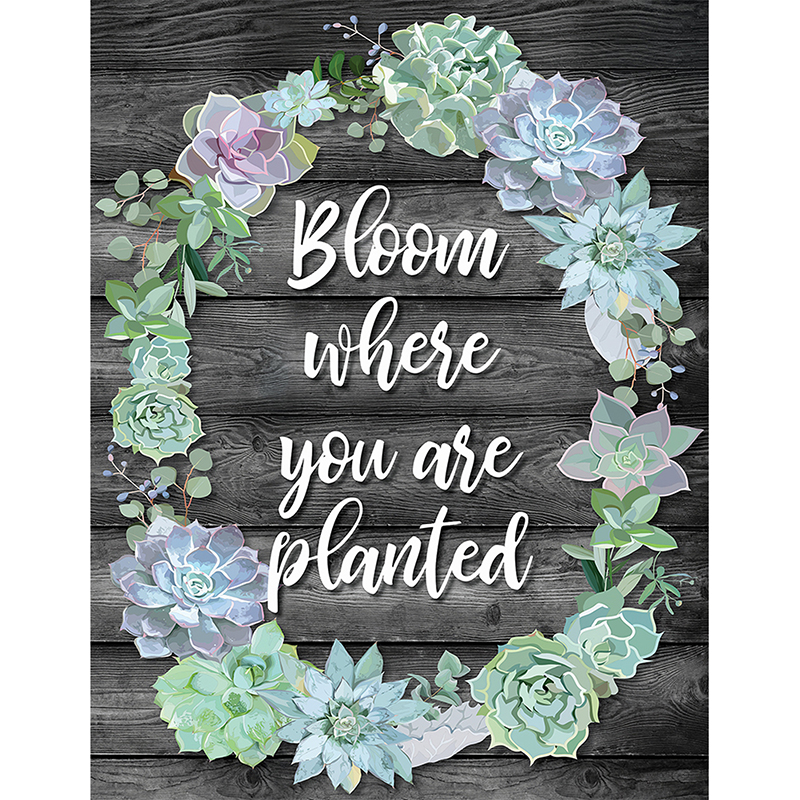 Picture of Carson Dellosa CD-114259 Simply Stylish Bloom Where You Are Planted Chart
