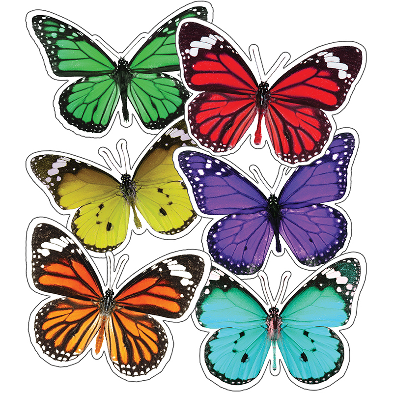 Picture of Carson Dellosa CD-120563 Woodland Whimsy Butterflies Cut-Outs