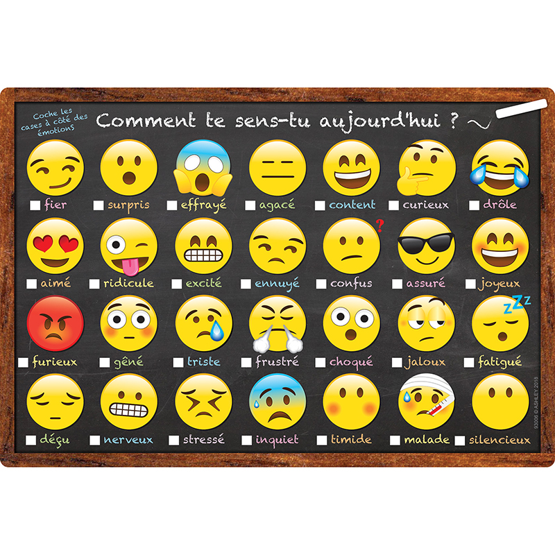 Picture of Ashley Productions ASH93006 13 x 19 in. French Emoji How You Feeling Chart