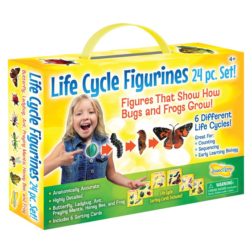 Picture of Insect Lore ILP2205 Life Cycle Figurines Set - 24 Piece
