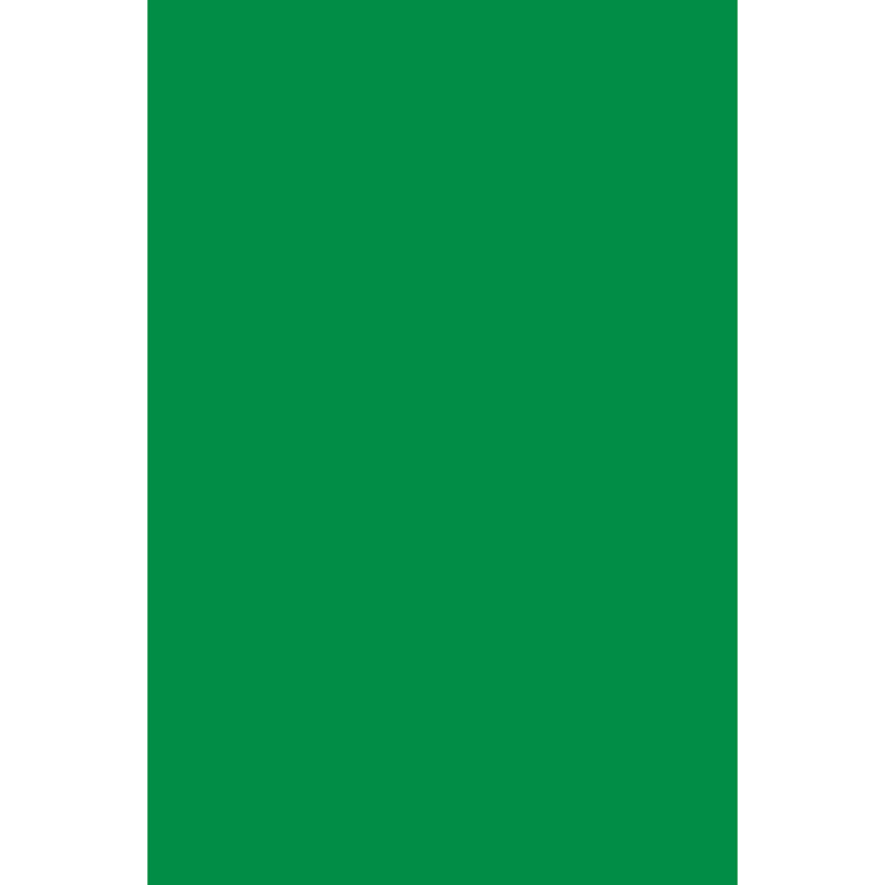 Spectra Quires, Apple Green - Pack of 5