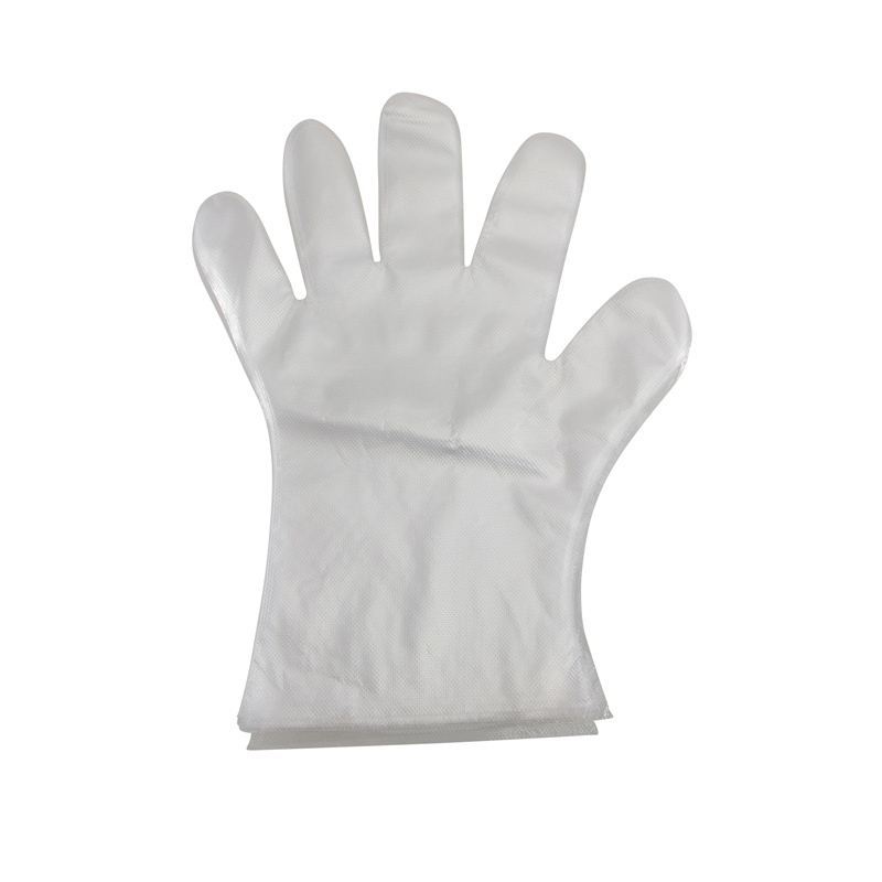 Disposable Gloves - 100 Per Bag - Pack of 6