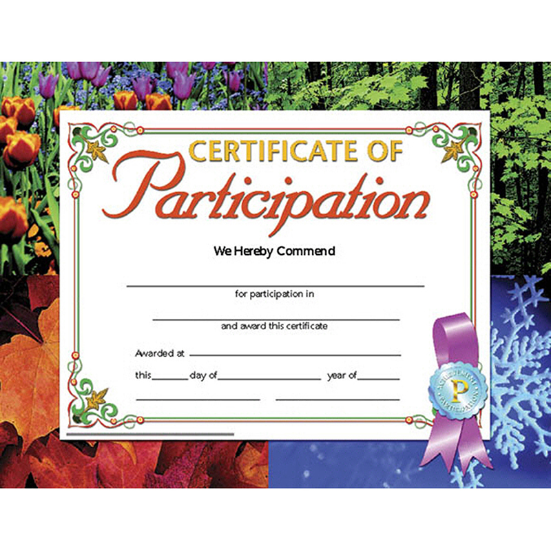 Picture of Flipside H-VA633-3 Hayes Certificates Of Participation Inkjet Laser&#44; 8.5 x 11 in. - 30 Per Pack - Pack of 3