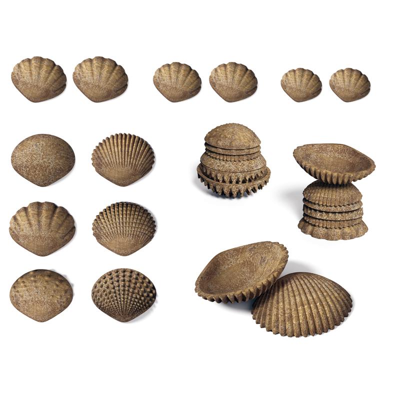 Tactile Shells - Eco-Friendly