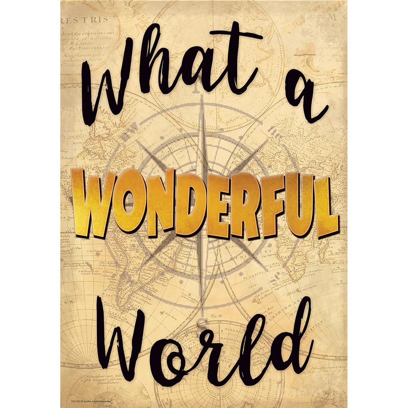 Picture of Teacher Created Resources TCR7437 Whats A Wonderful World Positive Poster