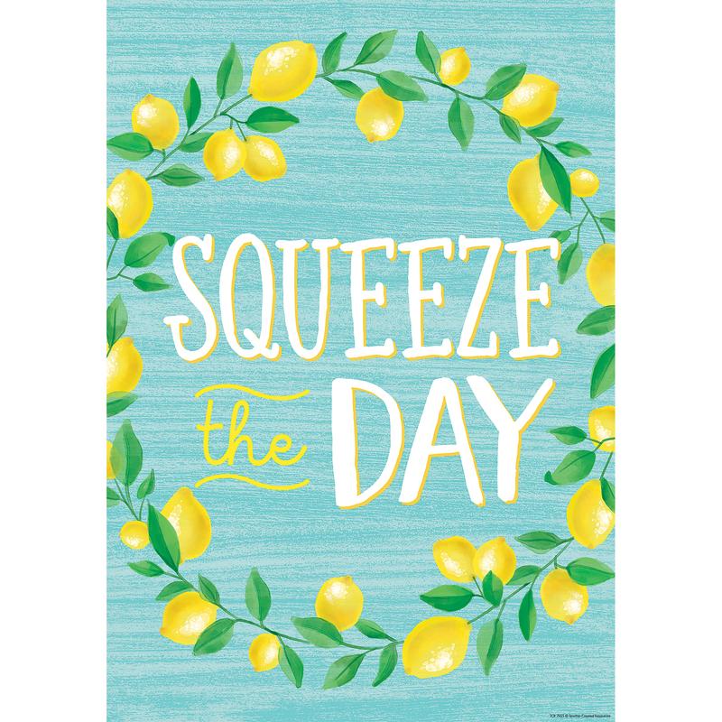 Picture of Teacher Created Resources TCR7955 Squeeze The Day Positive Poster
