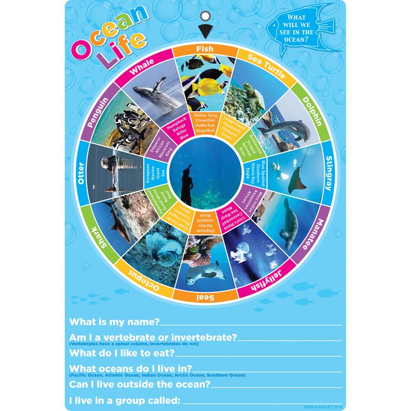 Picture of Ashley Productions ASH91606 Smart Wheel Ocean Animals