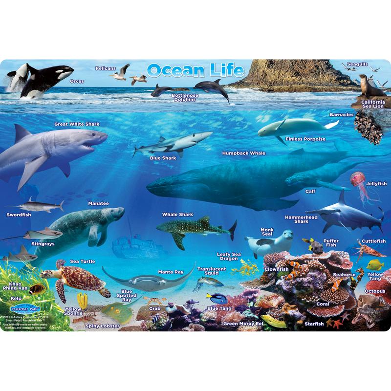 Picture of Ashley Productions ASH95201 Ocean Life Postermt Pals Smart Poly Single Sided
