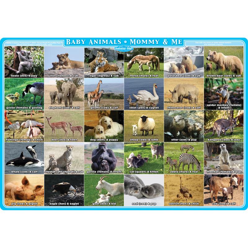 Picture of Ashley Productions ASH95202 Mommy & Me Animals Postermat Pals Single Sided Smart Poly