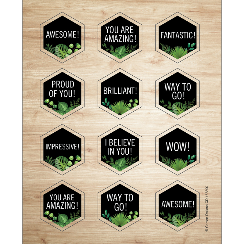 Schoolgirl Style Simply Boho Celebrations Stickers?6 Sheets of Motivational Hexagon Shape Stickers for Homework, Tests, Report Cards, Social Skills, Rewards (72 pc) (168300)